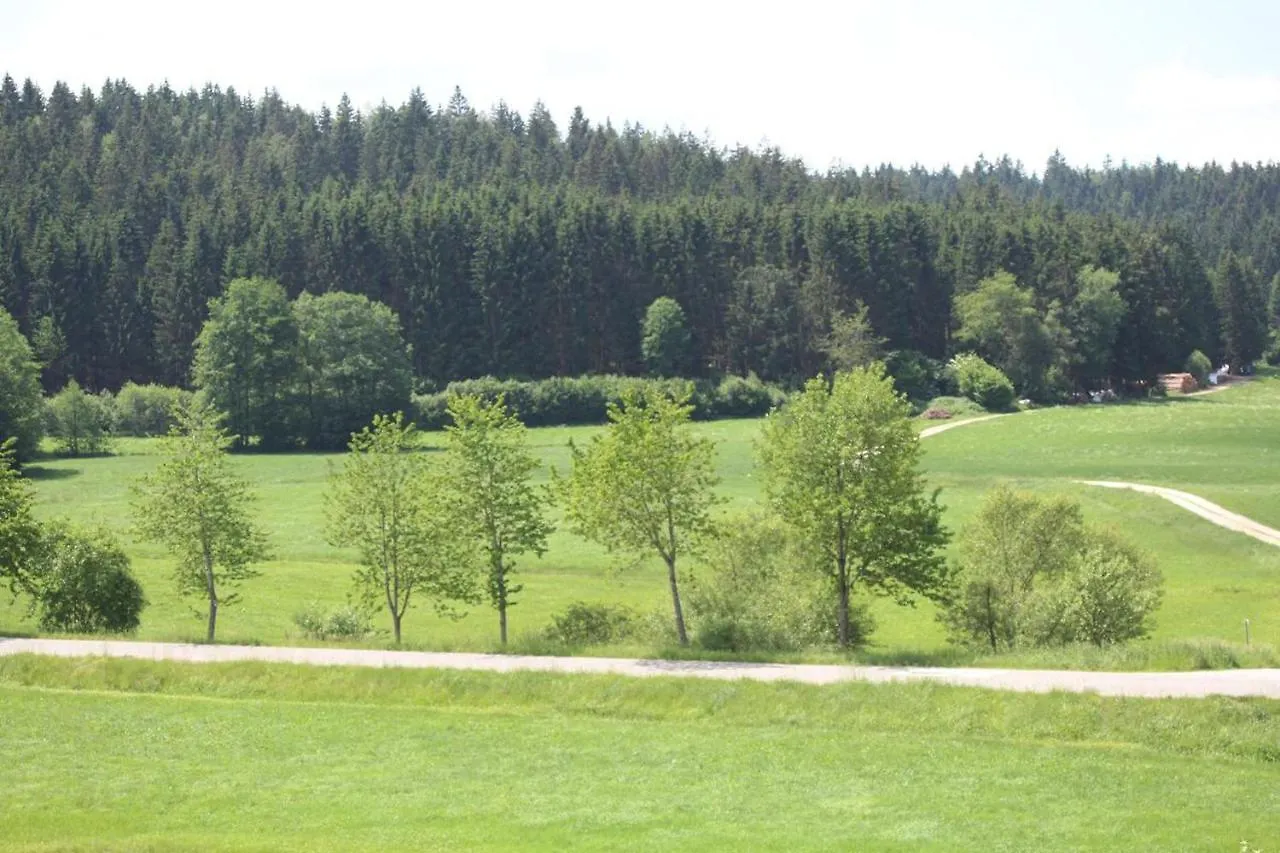 Apartment Ferienwohnungen Holzferienhaeuser Leithenwald Zwiesel Germany
