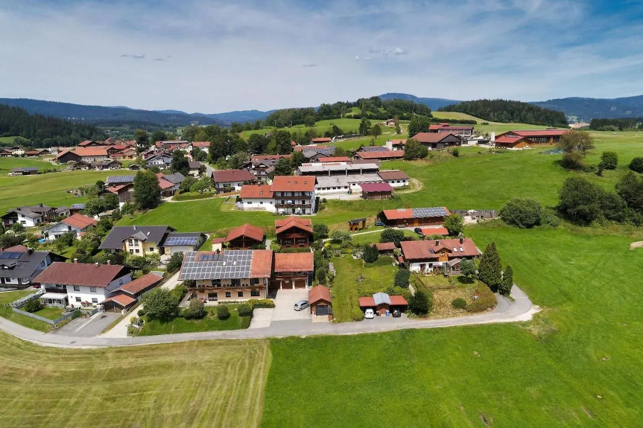 Apartment Ferienwohnungen Holzferienhaeuser Leithenwald Zwiesel Germany