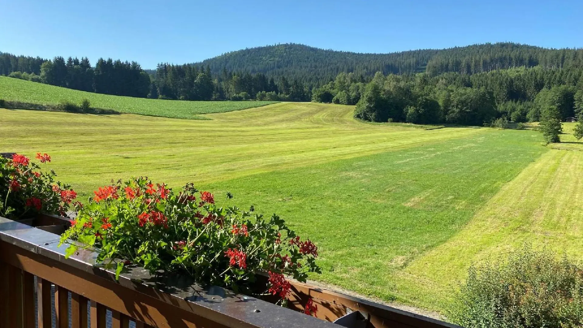 Ferienwohnungen Holzferienhaeuser Leithenwald Zwiesel 0*,