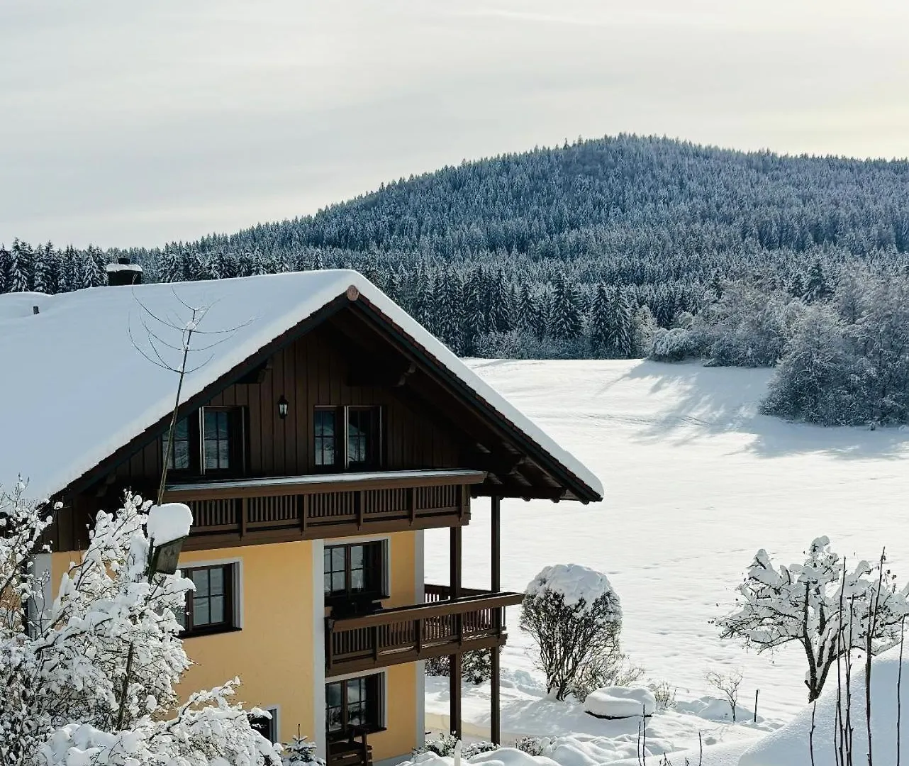 Apartment Ferienwohnungen Holzferienhaeuser Leithenwald Zwiesel